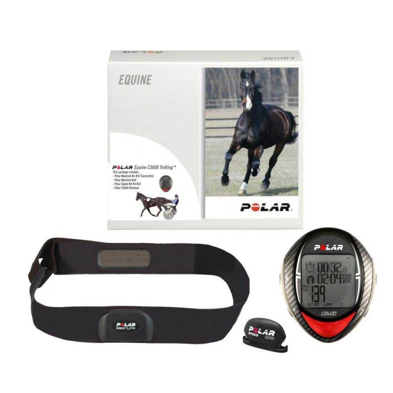 polar m460 trotting